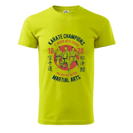 Karate Champions