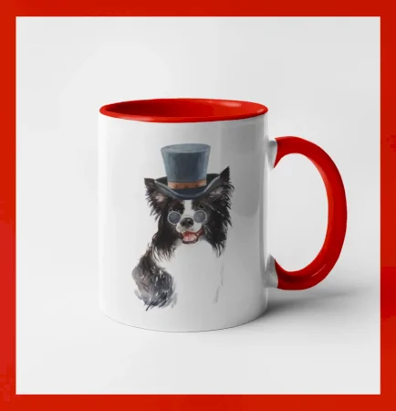 Border kólia v klobúku