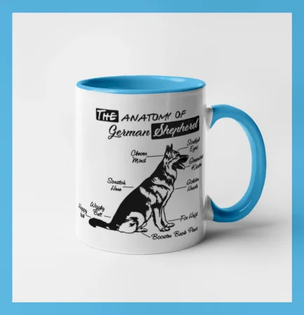 Nemecký ovčiak - Anatómia