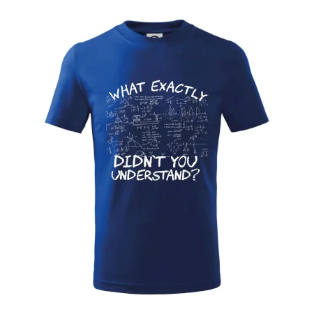What exactly didn't you understand - physics