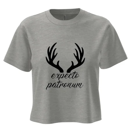 Harry - Expecto patronum