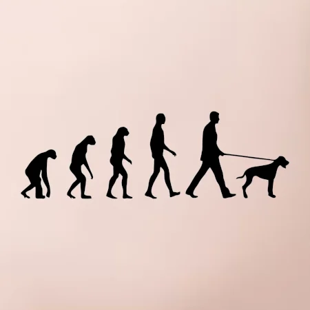 Evolúcia pes stavač