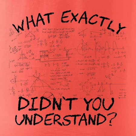 What exactly didn't you understand - physics
