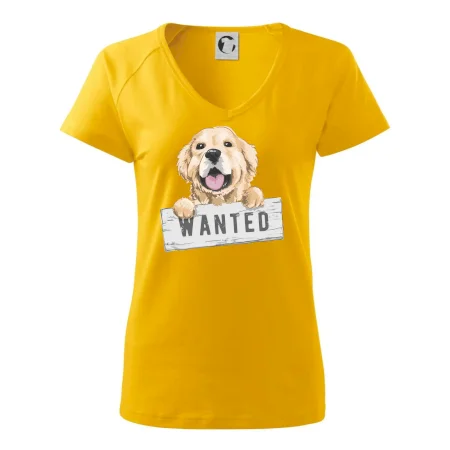 Zlatý retriever - šteniatko wanted