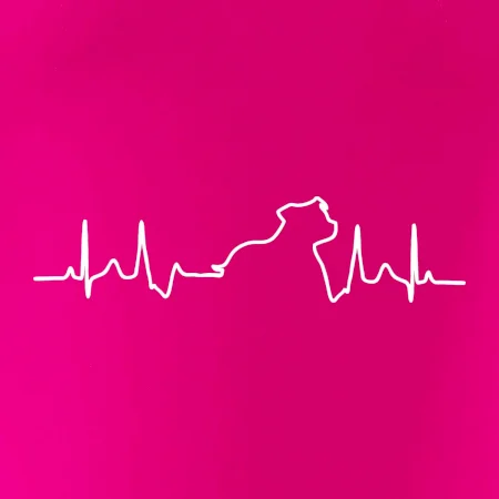 Stafordšírsky bulteriér ‎ EKG