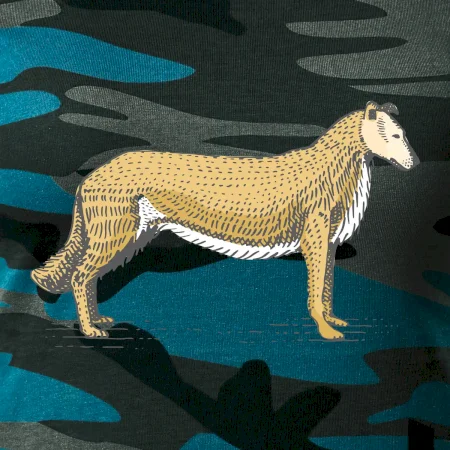 Vintage Collie
