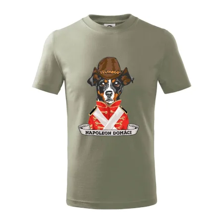 Napoleon domáci kríženec