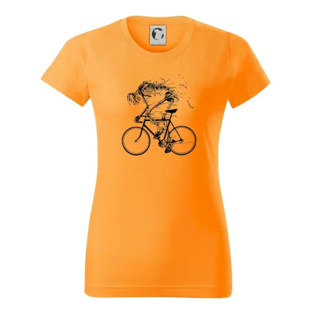 Cyklo kostra