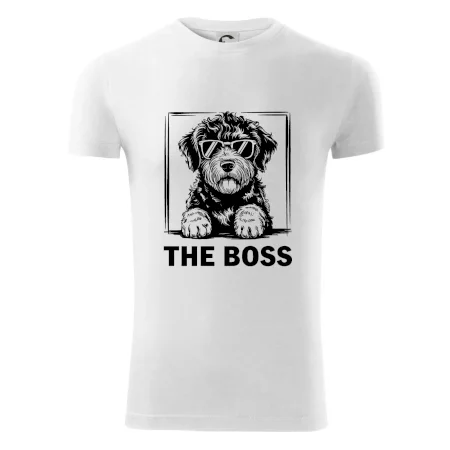 Lagotto romagnolo the boss