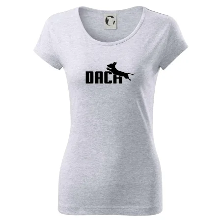 Jazvečík Dach