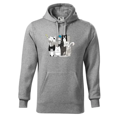 Mačky, čo nie sú tak úplne veselé