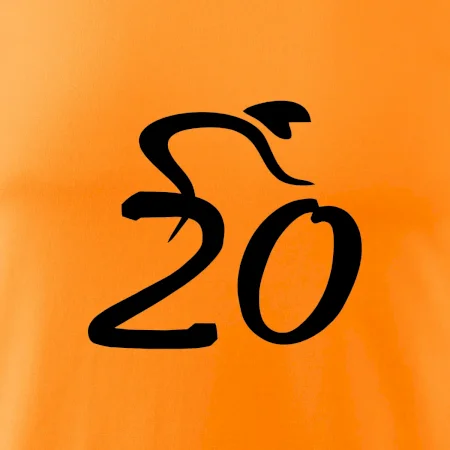 Cyklista oslavuje dvadsiatku (20)