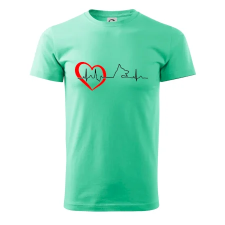 Nemecký ovčiak ekg