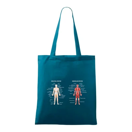 Skelet and Moscular system