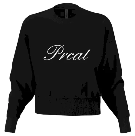 Prcat (súložiť vulgárne)