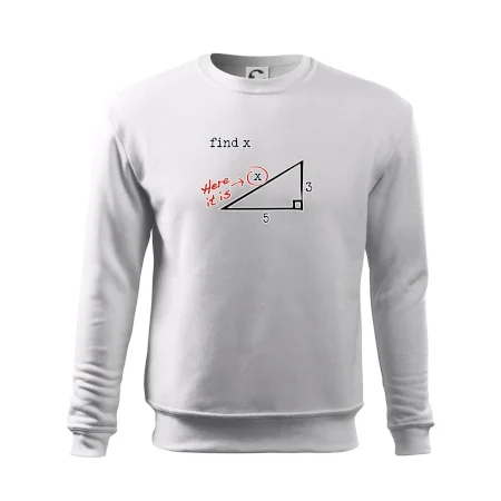 Find X - geometria