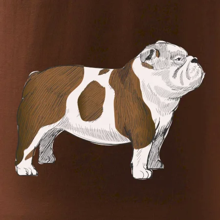Vintage English bulldog