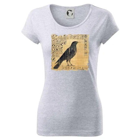 Egyptské hieroglyfy vták