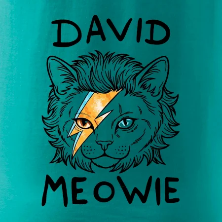 David Meowie