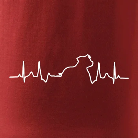 Stafordšírsky bulteriér ‎ EKG