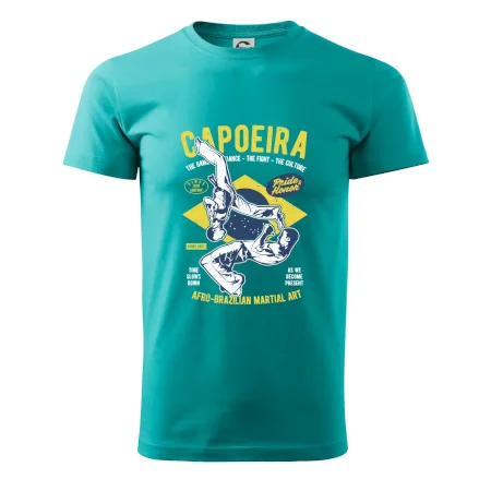 Capoeira  Afro-brazil art