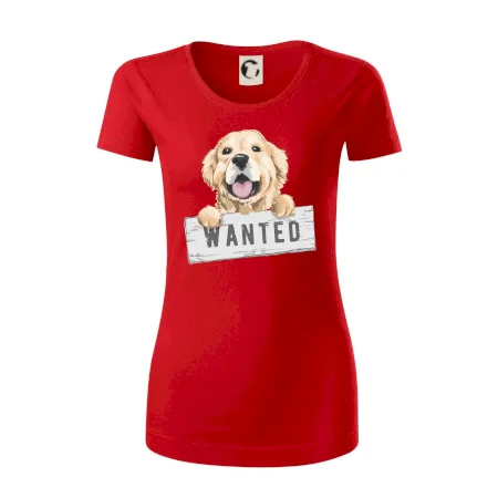 Zlatý retriever - šteniatko wanted