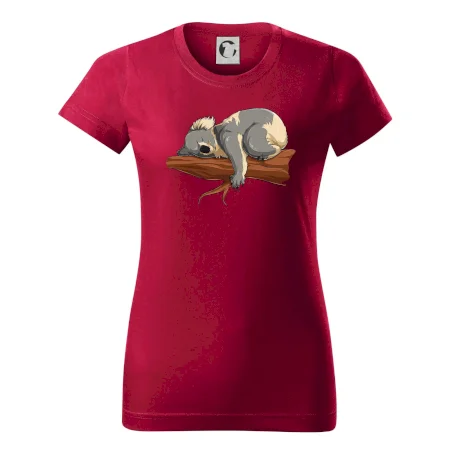 Koala na vetve