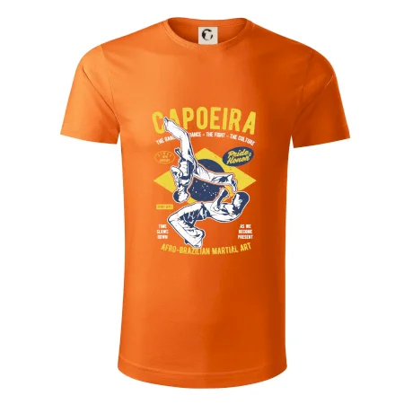 Capoeira  Afro-brazil art