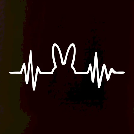 EKG zajac