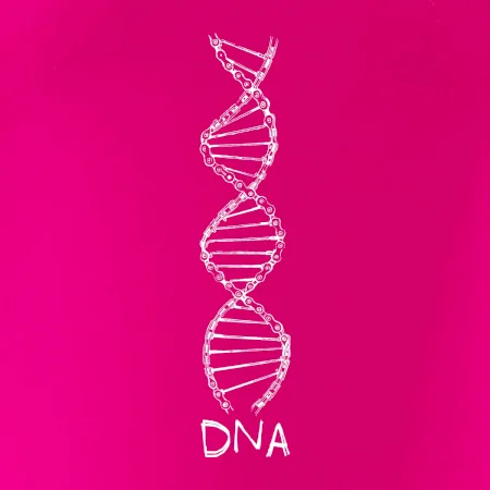 Cyklistovo DNA