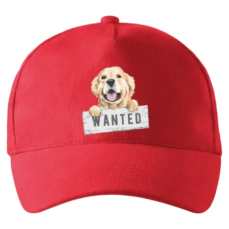 Zlatý retriever - šteniatko wanted