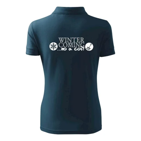 Winter Is Coming parodie