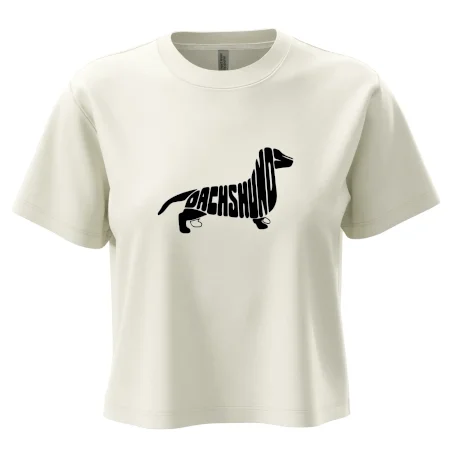Jazvečík - Dachshund