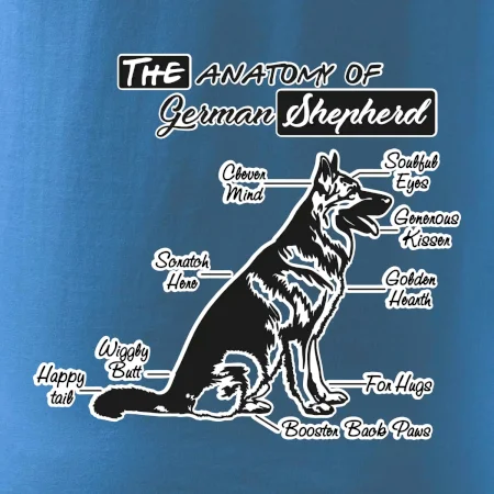 Nemecký ovčiak - Anatómia