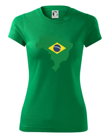 Brazília vlajka v mape