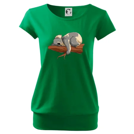 Koala na vetve