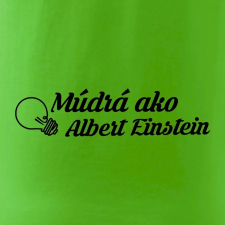 Múdrá ako Einstein
