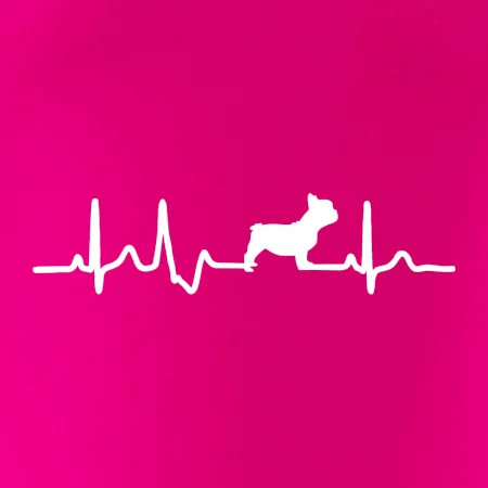 EKG Francouzský buldoček z boku