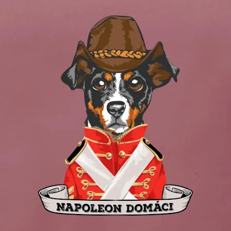 Napoleon domáci kríženec