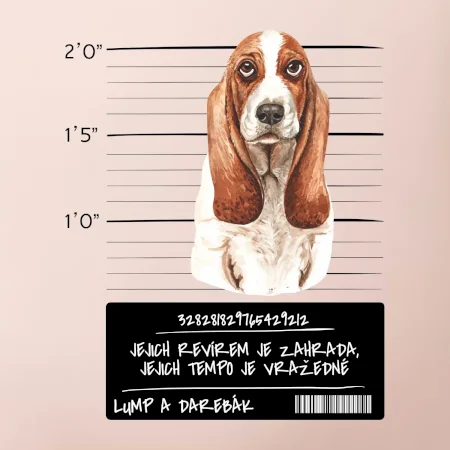 Baset - lump a darebák  
