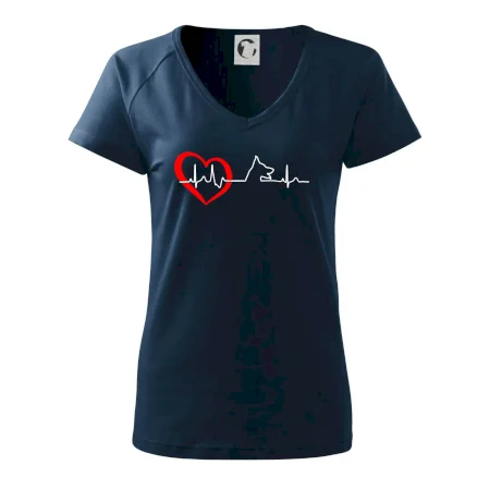 Nemecký ovčiak ekg