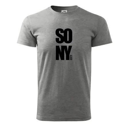 SO NY city