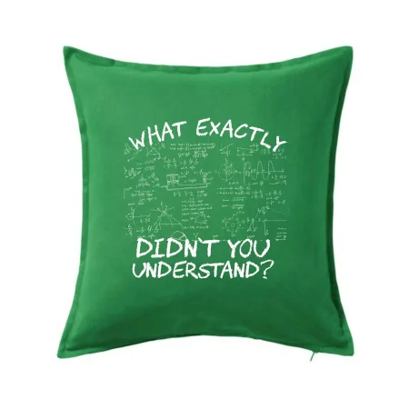 What exactly didn't you understand - physics