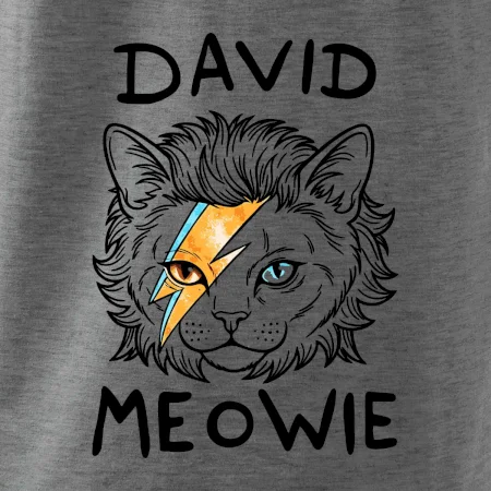 David Meowie