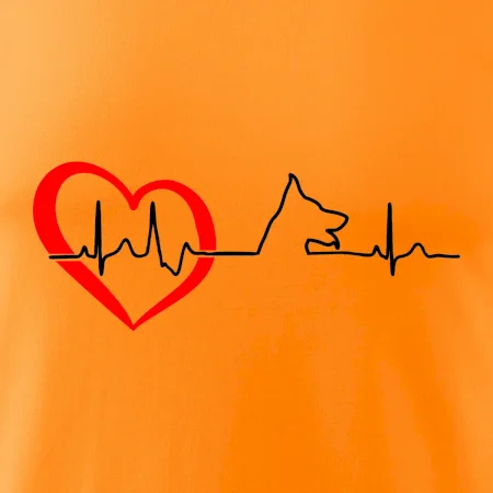 Nemecký ovčiak ekg