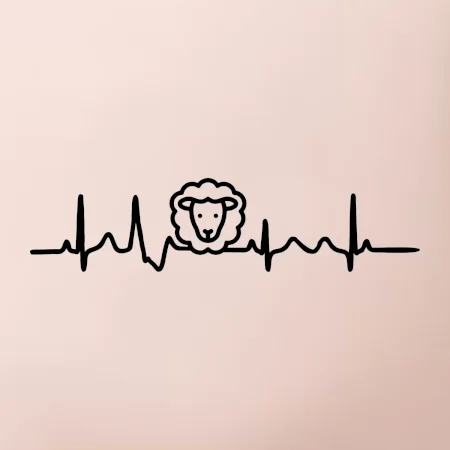 Ekg ovce
