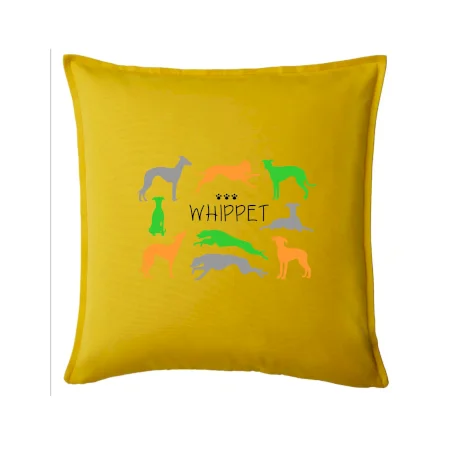 Whippet farebný