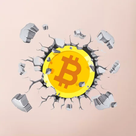 Bitcoin v tričku