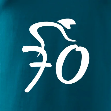 Cyklista oslavuje sedemdesiatku (70)