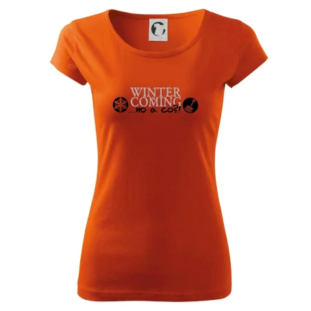 Winter Is Coming parodie